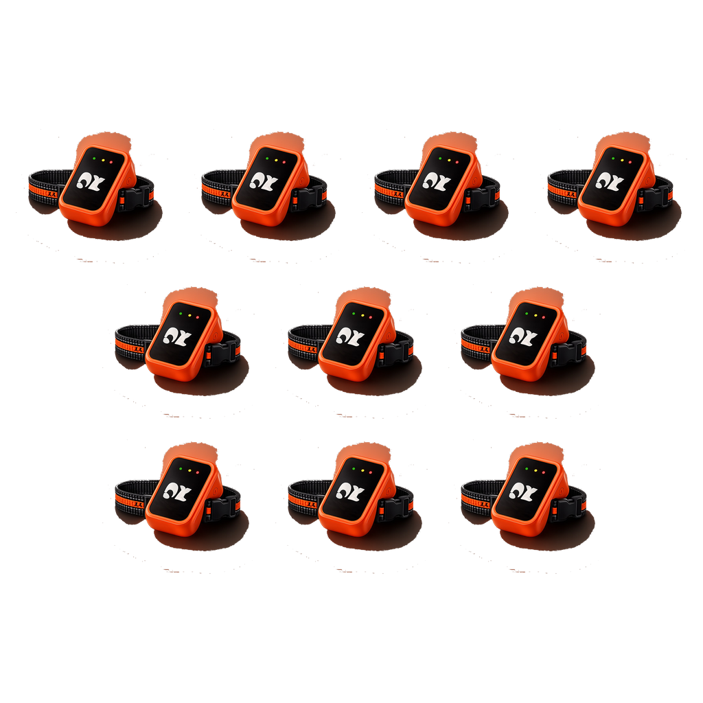 PawTrace 10-pack