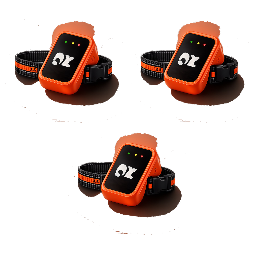 PawTrace 3-pack