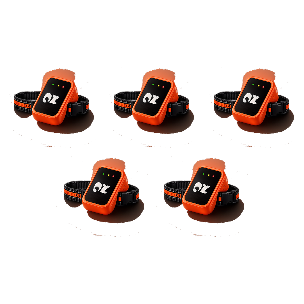 PawTrace 5-pack